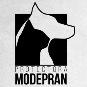logo-modepran